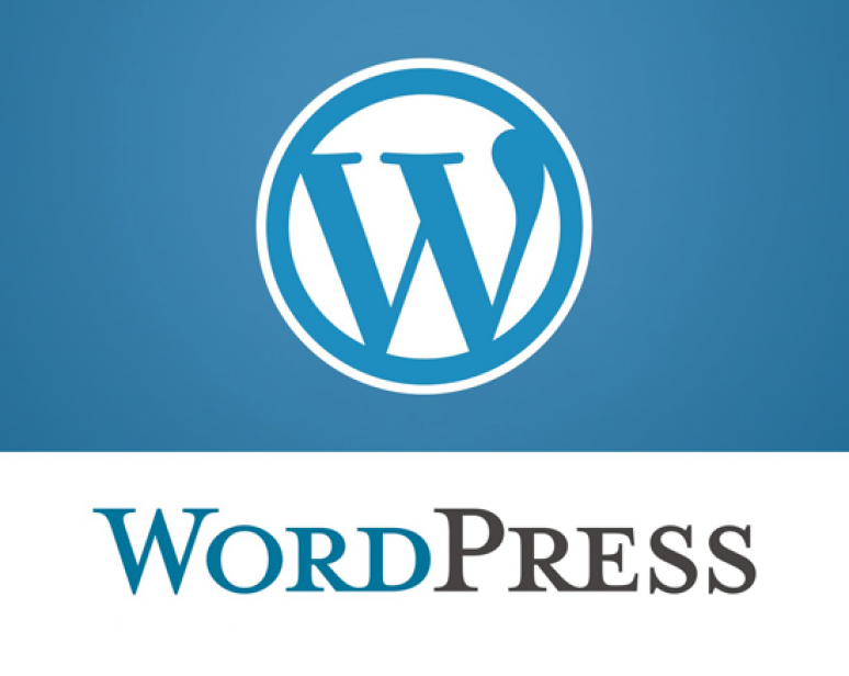 Hospedagem wordpress: o que avaliar na hora de escolher uma