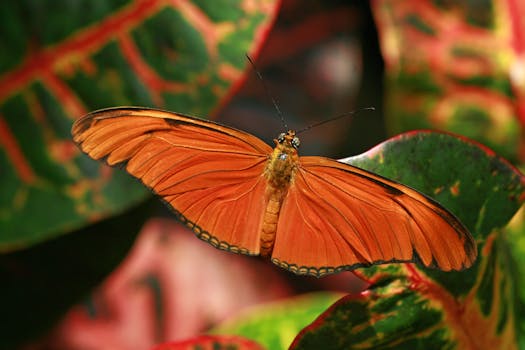 Ambiente de programação com Julia.