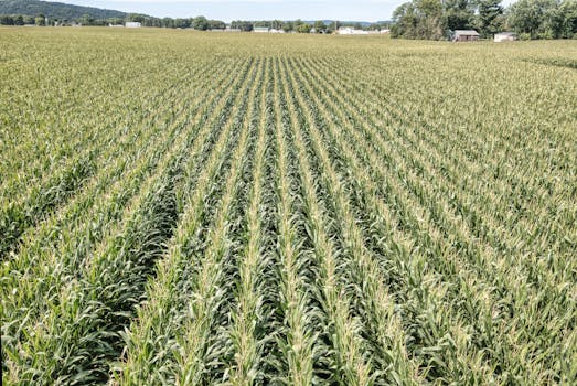 Recursos de engajamento no TikTok.