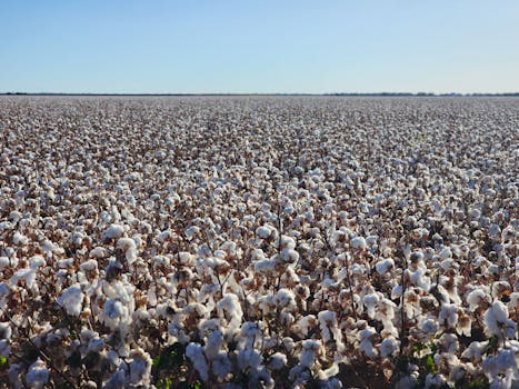 Infraestrutura de fibra otimizada para crescimento.