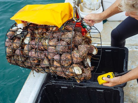 Controle de recursos automatizado para ambientes containers escaláveis e seguros.