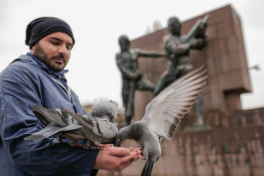 Usuário satisfeito com navegação rápida.