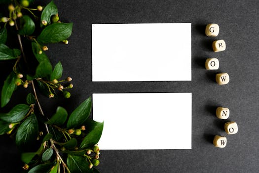 Criação de mockups com variações criativas de Lorem Ipsum.