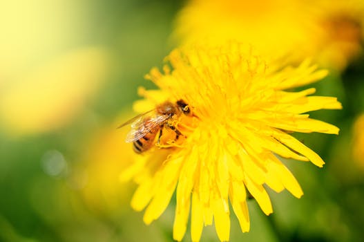 Ferramentas para gerenciamento eficiente de APIs.