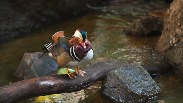 Arquitetura de microserviços conectados por APIs.