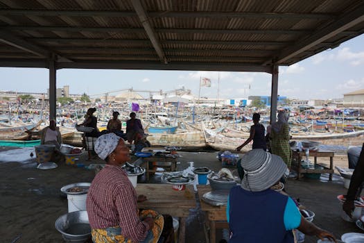 pexels marketing@adobe.com site temas