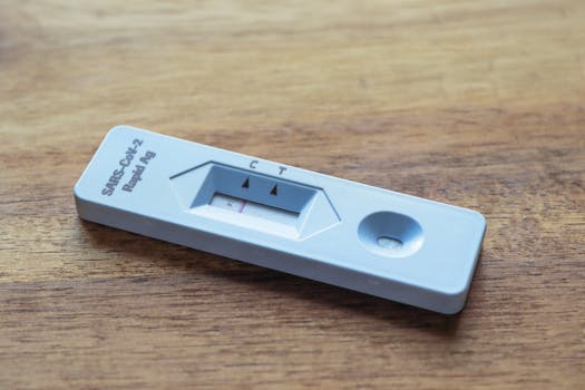 Testes de usabilidade com usuários reais para validar o protótipo.