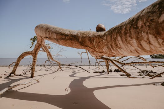 Ciclos ágeis e revisões integradas.