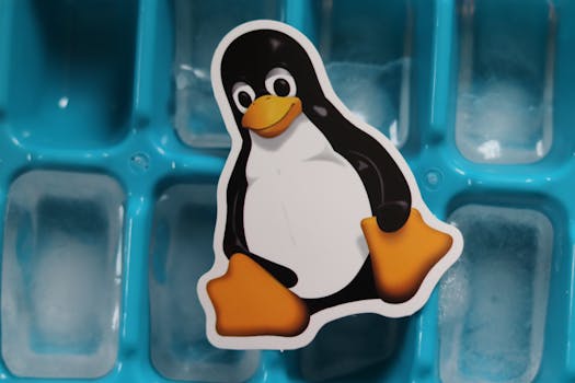Opções de personalização no Linux.