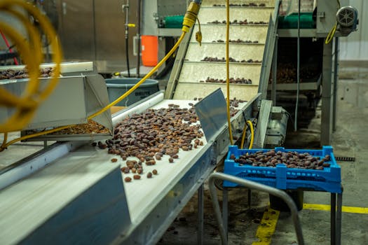 Ferramentas de automação de TI para ambientes empresariais.