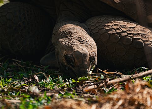 Estrutura de RAID 1 em data centers modernos.