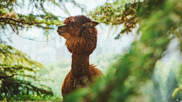Componentes que reforçam acessibilidade e sustentabilidade.