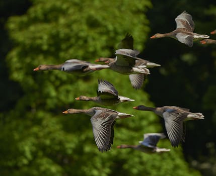 Testes de validação em ambientes controlados garantem transferência segura.