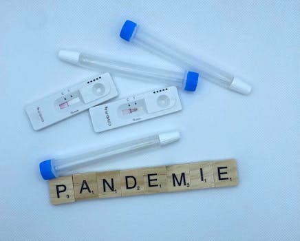 Testes finais de desempenho e funcionalidade do site migrado.