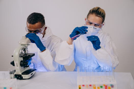 Colaboração entre membros promovendo implementação de testes.