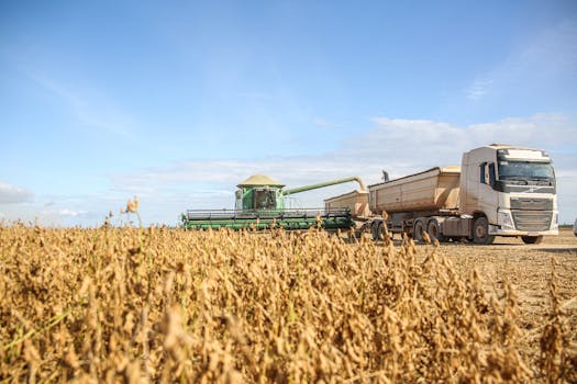Dinâmica de expansão de recursos em ambientes virtuais.