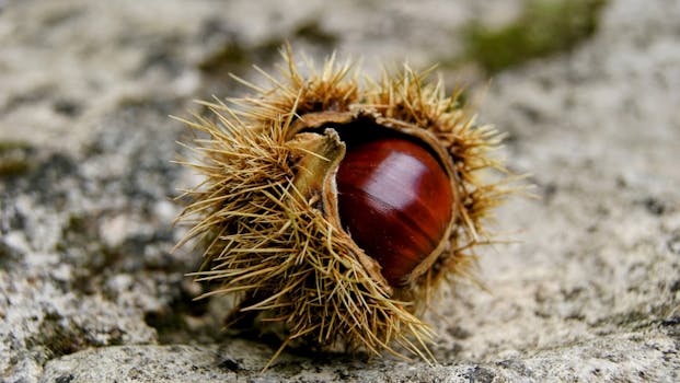 Mercado de marketing digital em expansão e oportunidades de especialização.