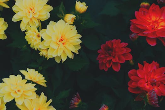 URLs otimizadas para SEO.