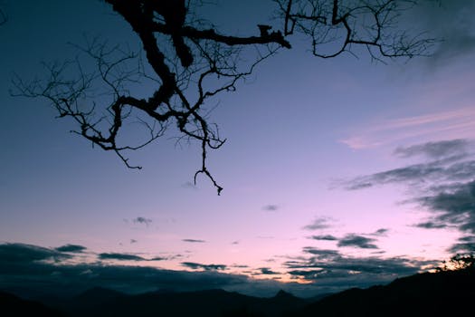 Design responsivo e atraente.