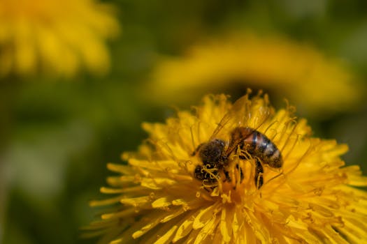 Novas APIs do WordPress 6.3 facilitando a criação de funcionalidades personalizadas.