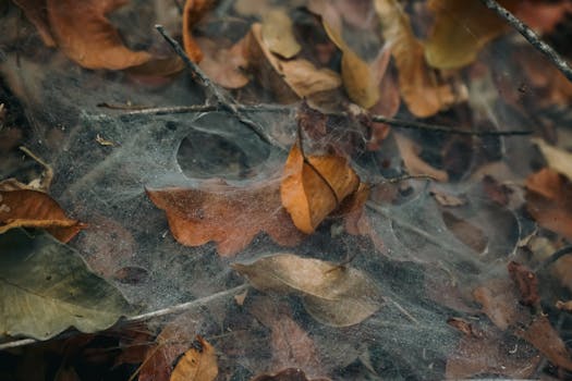 Treinamento de equipes na gestão de dados na nuvem.
