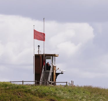 Monitoramento de desempenho do site após reset.