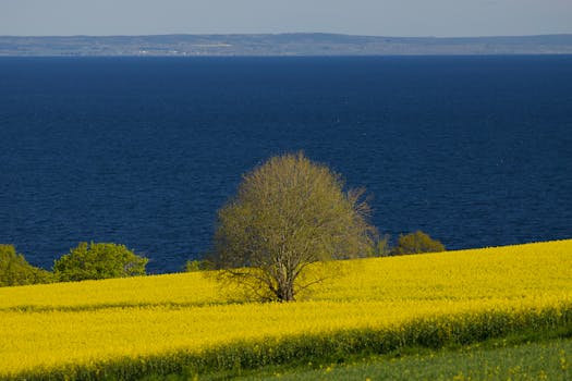 Gerenciamento eficiente de múltiplas contas de e-mail.