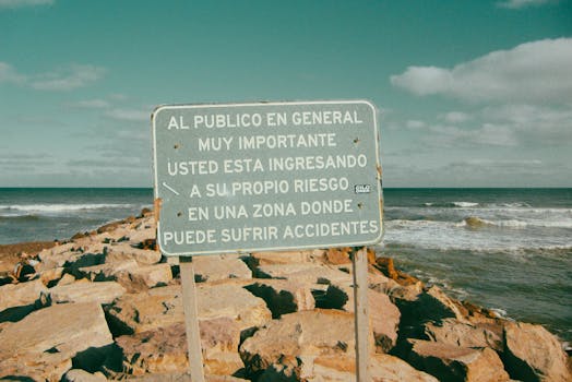 Alertas automáticos aprimoram a rapidez na tomada de decisão.