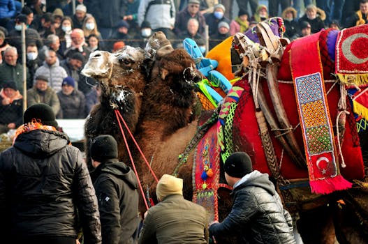 Visual responsivo para diferentes dispositivos.