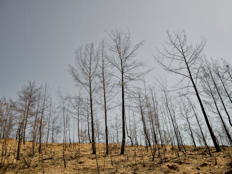 Impacto financeiro da perda de backups.