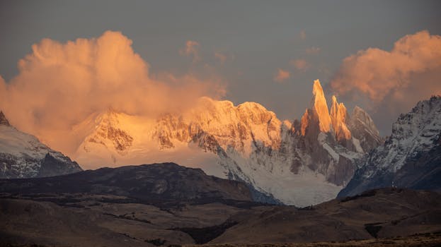 Visualização de dados e resultados em plataformas de monitoramento.