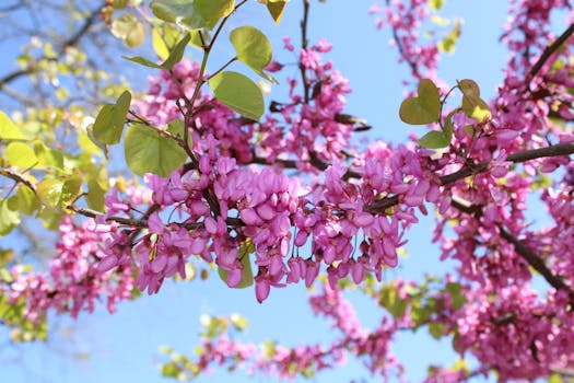 Gestão de ambientes escaláveis e crescimento sustentável.