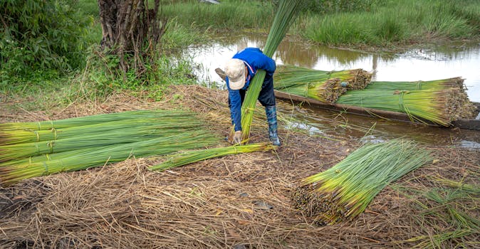 Ecossistema integrado de gerenciamento.