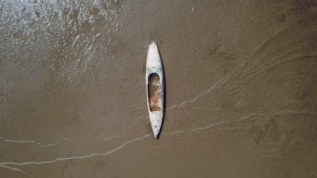 Visualizar diferentes futuros impulsiona a inovacão.