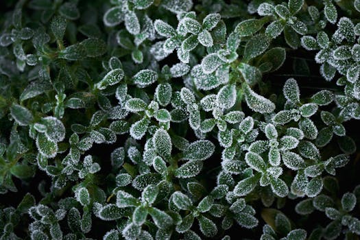 Infraestrutura redundante para alta disponibilidade.