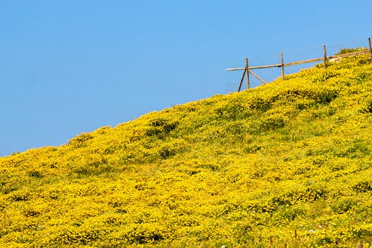 Infraestrutura de alta performance na Valuehost.