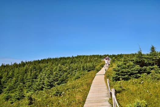 Inovação sustentável na TI