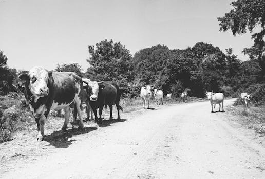 Equipamentos tecnológicos essenciais para uma infraestrutura robusta.